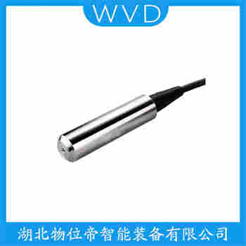 分體投入式液位變送器 LH501G12A311-300-L500 WVD