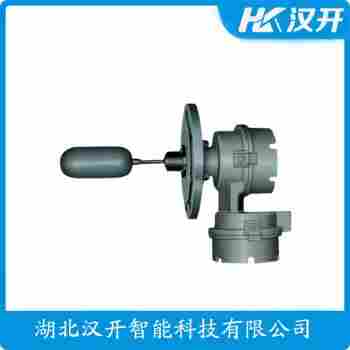 FD220P110H5 浮球物位計應(yīng)用案例