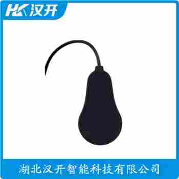 ES6010 浮球物位计