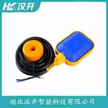 WY-626-F-25-2000 浮球物位計