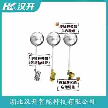 浮球物位計(jì) EFQS-H 漢開