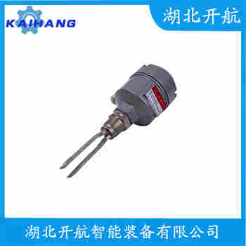 音叉物位開關(guān) FTM51-AGJ2L4A52AA開航