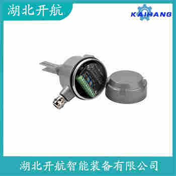 音叉物位開關(guān) 2120D1GK1I1AH0000開航