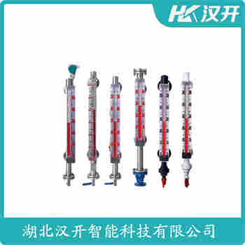 頂裝磁翻柱液位計BNA-25-16-RF-MG-M400-V45 漢開