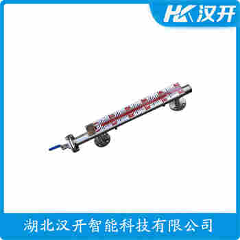 頂裝磁翻柱液位計BNA-25-16-RF-MG-M400-V45 漢開