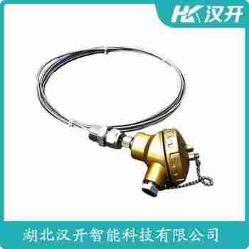 WRK-421 熱電偶維護(hù)建議