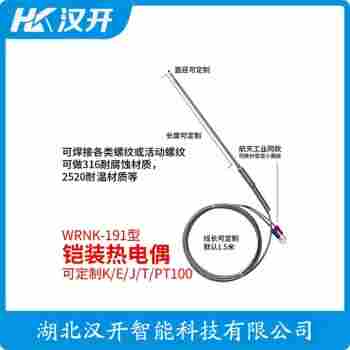 WRB2-131-T2 鉑銠熱電偶功能特點