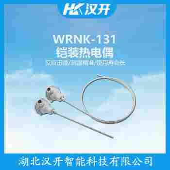 WRR2-131B 熱電偶參數規格