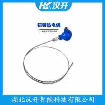 WRNK2-296 熱電偶選擇要點