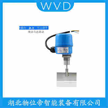 阻旋式料位檢測開關 RD-HM-KYAX13CA2A-48 WVD