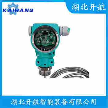 分體投入式液位變送器 RPS-100 開航