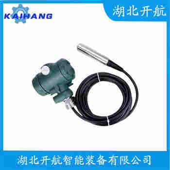 分體投入式液位變送器 CYB31 開(kāi)航