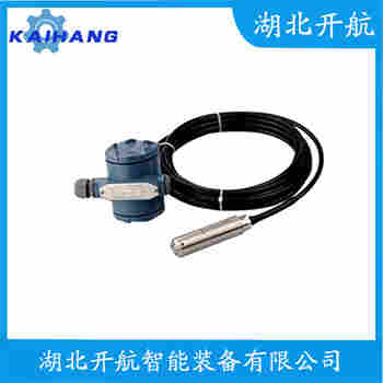 投入式液位變送器 PG1300S 開(kāi)航