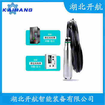 分體投入式液位變送器 PG1300SY-R 開航