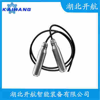 分體式靜壓液位傳感器 WP311A 開航