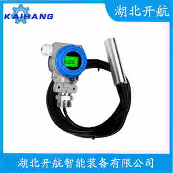 分體投入式液位變送器 PG1300SY-R 開航