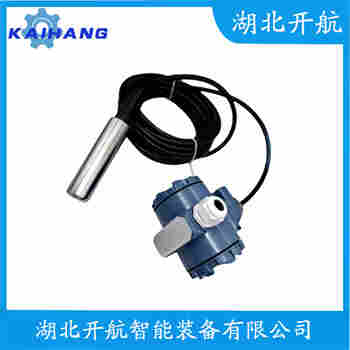 分體投入式液位變送器 XTX-136-XL9ACT 開航