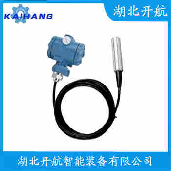 分體投入式液位變送器 DB101-G1TE205Z 開航