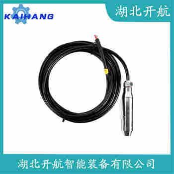 AY120A-B-L1-GP-A-1-A-0-10 分体投入式液位变送器