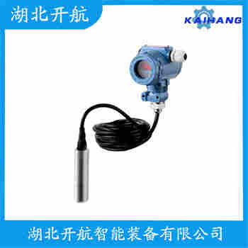 分體式靜壓液位傳感器 DW901 開航