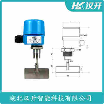阻旋式料位儀BKS-L600 應(yīng)用案例