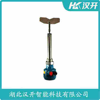 堆煤傳感器 RSLK-250H/80/0220,G11/2 漢開
