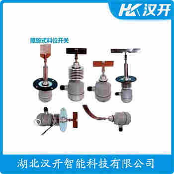 阻尼式料位開關(guān) RN3002C011AA1Z3A 漢開