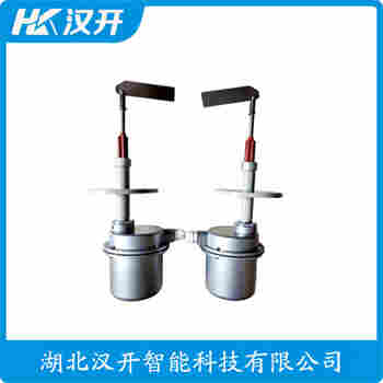 阻移式料位計 FTE30-AA11 漢開