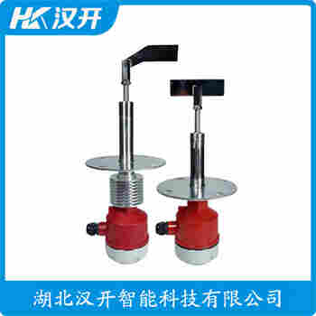 堆煤傳感器 RSLK-250H/80/0220,G11/2 漢開