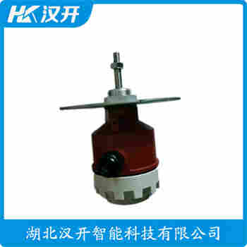 阻移料位計(jì) RP32-D-F2-A250 漢開