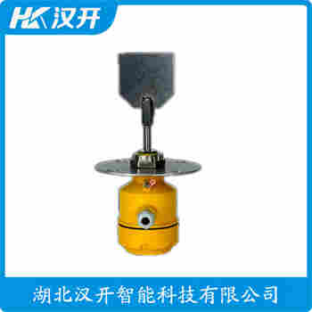 阻旋開關(guān)料位計(jì) DR502-XXMZ10 漢開