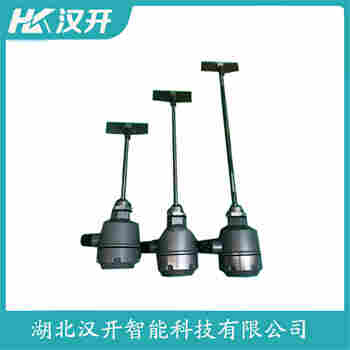 旋轉(zhuǎn)式料位開關(guān) RN3001A011EA1D3M 漢開