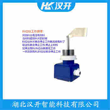 旋轉(zhuǎn)式料位開關(guān) RN3004E031FA3Q3A 漢開