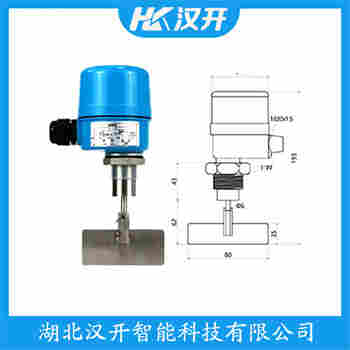 阻尼式料位開(kāi)關(guān) FT33CHF500 漢開(kāi)