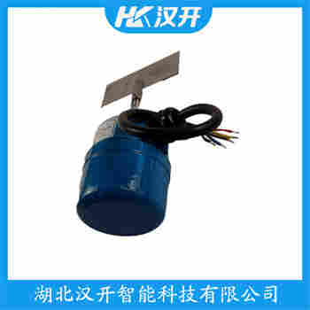 高壓阻旋料位計(jì) RP-20-B-F3-1000 漢開(kāi)