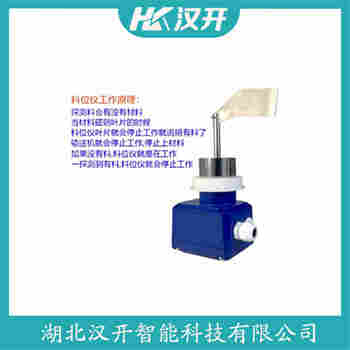 阻移料位計(jì)ZP20-250ADS 參數(shù)規(guī)格