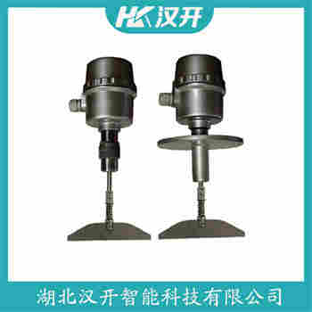 堆煤傳感器 RSLK-250H/80/0220,G11/2 漢開