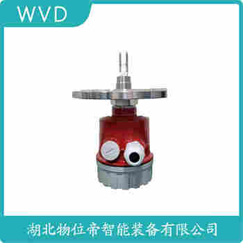 音叉料位開關(guān)FTM20-CG45A WVD