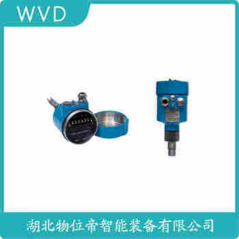 音叉物位開關(guān)FTM20-AG43A WVD