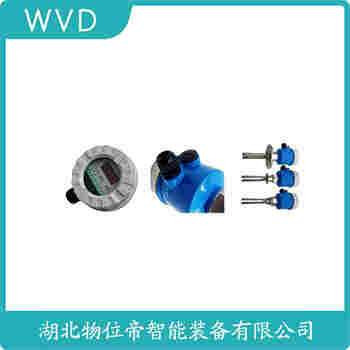 音叉物位開關(guān)FTM21-AA245A WVD