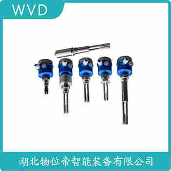 音叉物位開(kāi)關(guān)FTL50-AGM2AA4G4A WVD