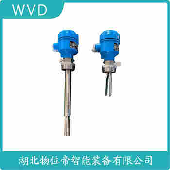 音叉物位開關FTM20 WVD