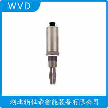 音叉物位開關(guān)FTM21-AA245A WVD