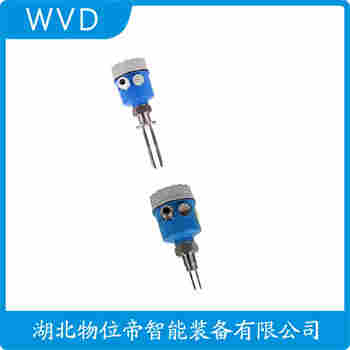 音叉物位開關FTM21-AG242A WVD