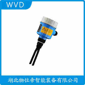 音叉物位開關(guān)FTM20-AK46A WVD