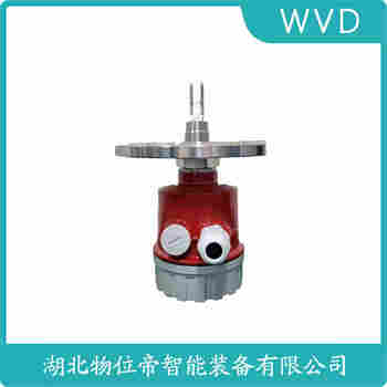 音叉物位開(kāi)關(guān)FTL50-AGM2AA4G4A WVD