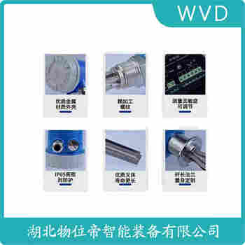 音叉料位開關(guān)2120D1AH1I1AA0000 WVD