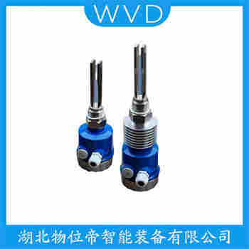 音叉物位開關FTM21-AG242A WVD