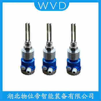 音叉物位開關(guān)FTI56-AAD1RV143A1A WVD