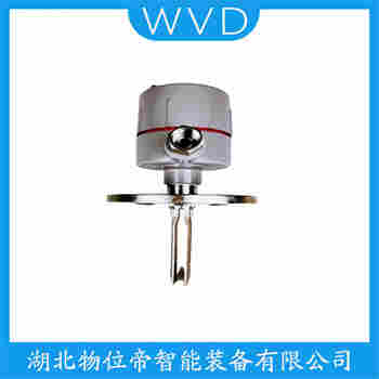 音叉物位開關(guān)FTM21-AG245A WVD